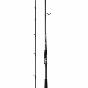 چوب ماهیگیری دایوا DAIWA BALLISTIC
